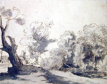 Landscape (pen and ink and wash on paper) od Rembrandt van Rijn
