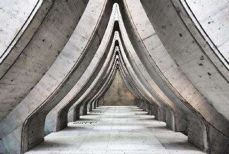 Cathedral of concrete