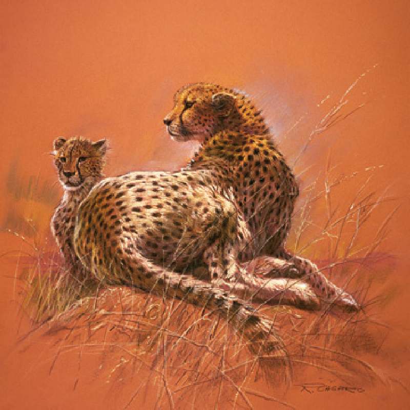 Cheetah Mother od Renato Casaro