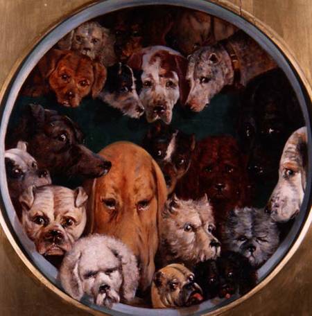 Twenty Dogs od Reuben Bussey