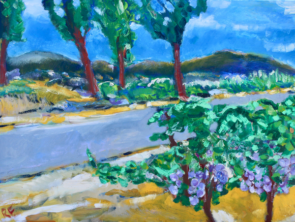 Roadside Vineyard, Napa od Richard Fox