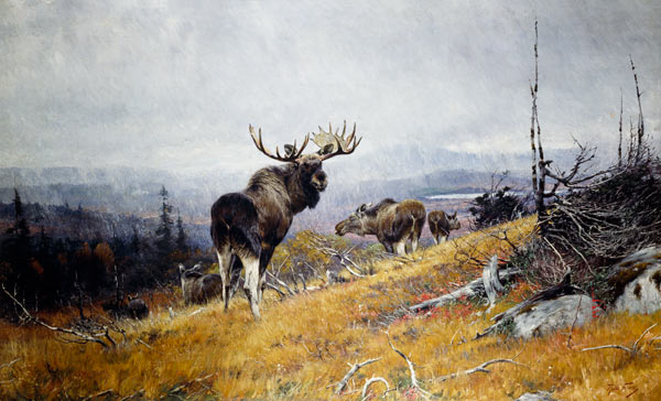 Elk pack od Richard Friese