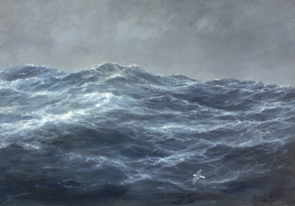 The Gull''s Way (oil on canvas)  od Richard  Willis