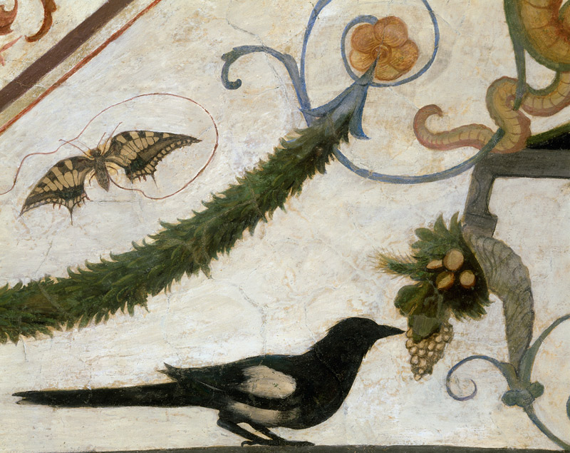 Vogel und Schmetterling od Ridolfo Ghirlandaio