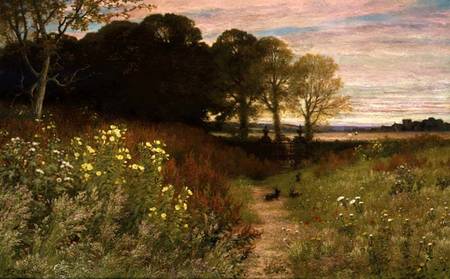 Landscape with Wild Flowers and Rabbits od Robert Collinson