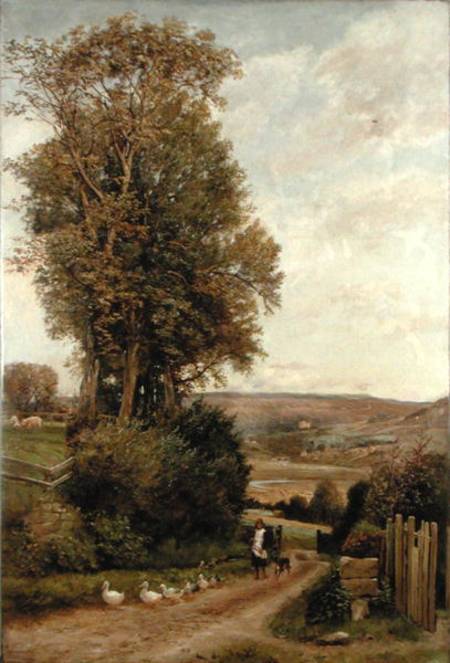 The Vale of Rothbury od Robert Jobling