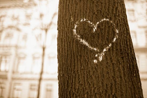 Gezeichnetes Herz auf einem Baumstamm. od Robert Kalb