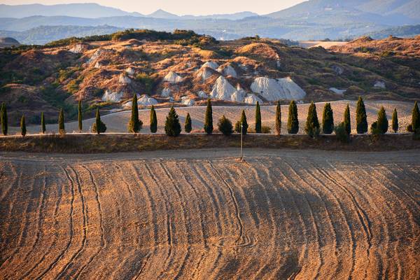 Landschaft in der Toskana mit Zypressenreihe od Robert Kalb