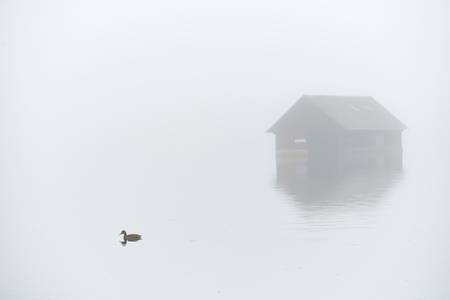 Fischerhaus im Nebel mit einer schwimmende Ente im See