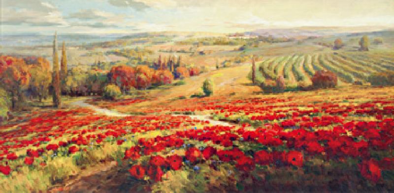 Red Poppy Panorama od Robert Lombardi