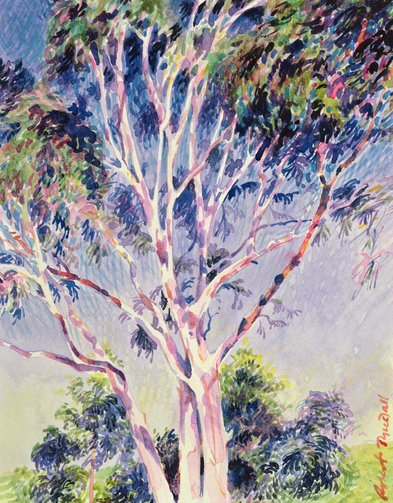 Gum Tree, Australia (w/c)  od Robert  Tyndall