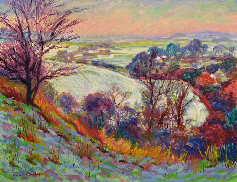 The Downs in Winter  od Robert  Tyndall