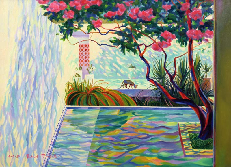 Cat in a Mexican Garden od Robert  Tyndall