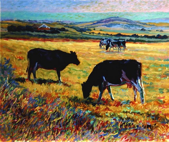 Cows on the Downs Overlooking Brighton  od Robert  Tyndall
