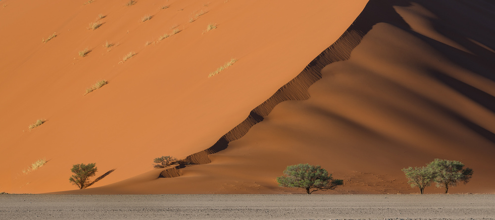 Dune od Roberto Marchegiani