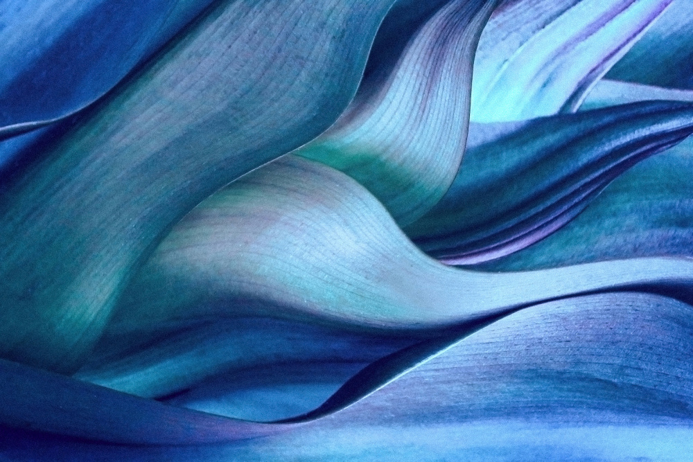 Shades of Blue od Robin Wechsler