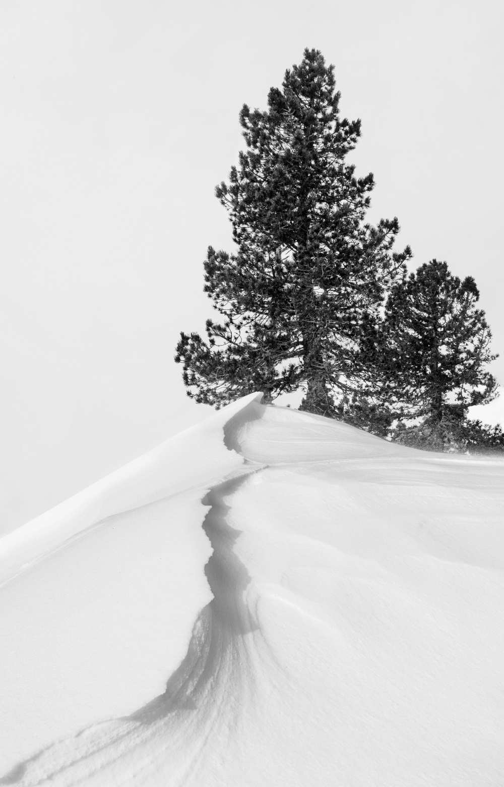 About the snow and forms od Rodrigo Núñez Buj