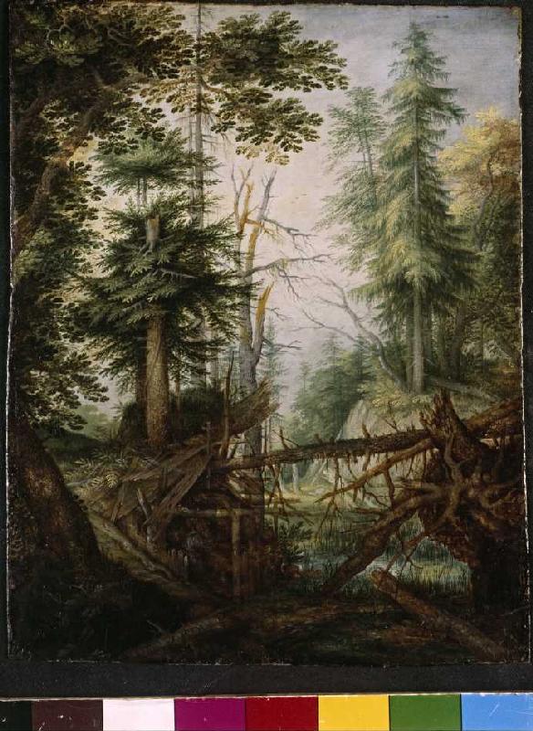 Waldlandschaft mit Eremit od Roelant Jakobsz Savery