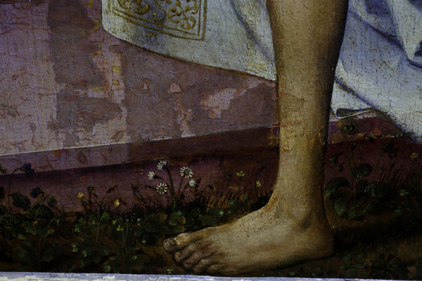 R.v.d. Weyden, Plants and flowers od Rogier van der Weyden