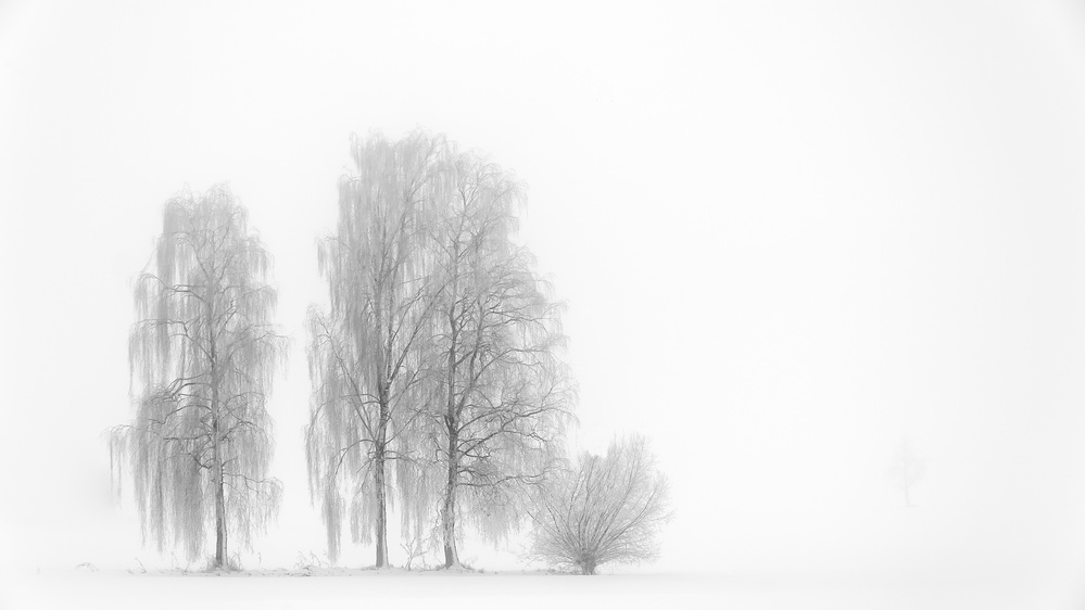 Winterstimmung od Roland Bucheli