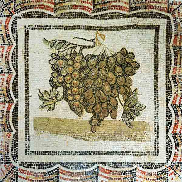 Bunch of white grapes, Roman mosaic (mosaic) od Roman