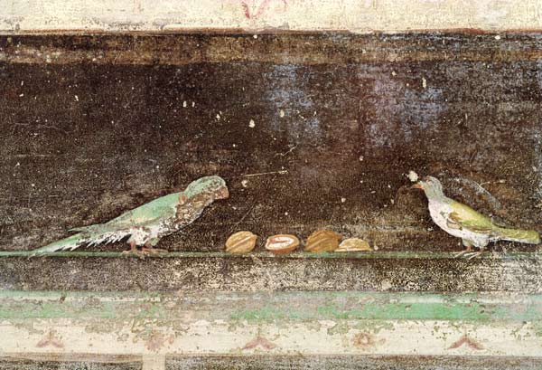 Birds eating nuts, detail from a tablinium decorated with Egyptian-style paintings od Roman