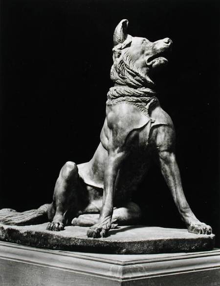 Bull Mastif Dog od Roman