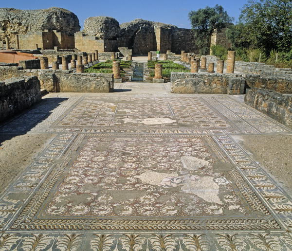View of the ruins and a mosaic floor (photo)  od Roman
