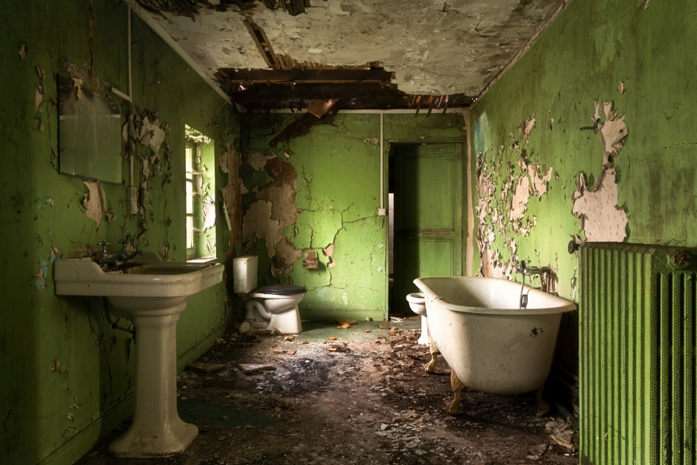 Green Bathroom od Roman Robroek