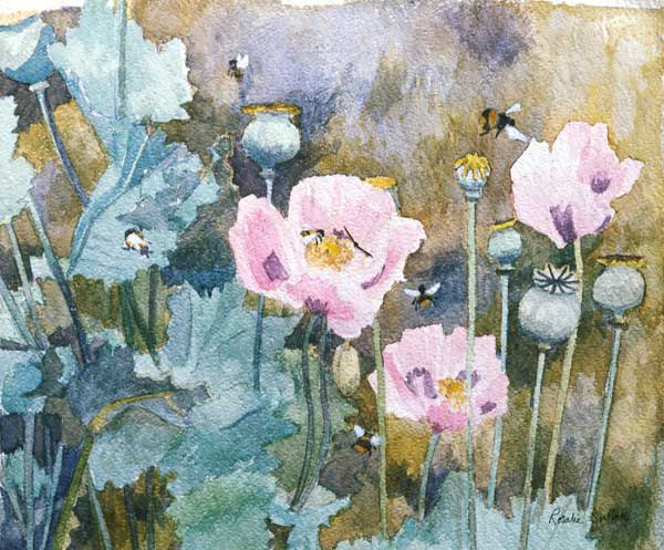 Pink poppies with bees (w/c)  od Rosalie  Bullock