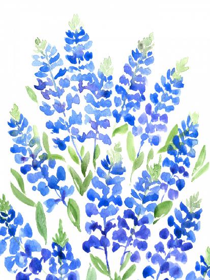 Watercolor Texas bluebonnets