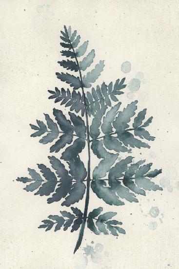 Teal watercolor fern 1