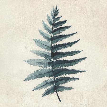 Teal watercolor fern 5