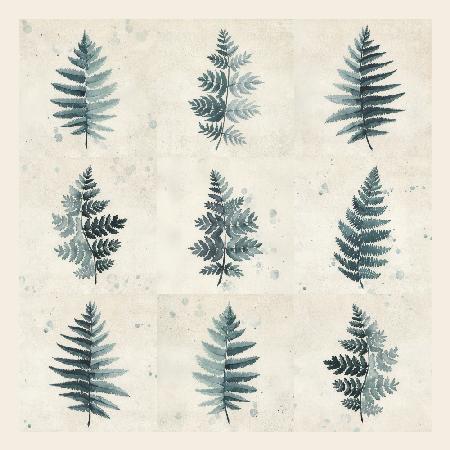 Nine ferns collage