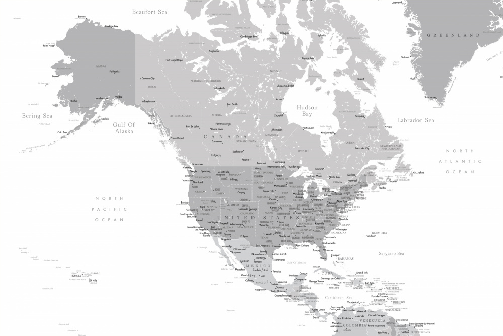 Gray map of North America with cities od Rosana Laiz Blursbyai