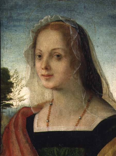 Portrait of a Young Girl od Rosso Fiorentino
