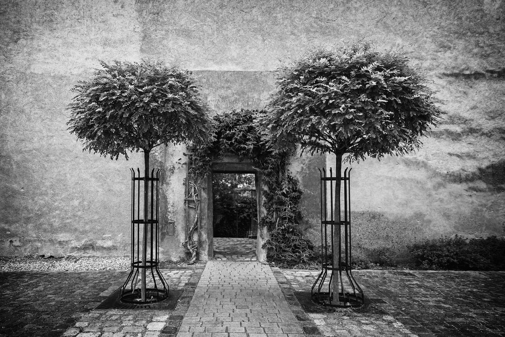 rose garden entrance od Roswitha Schleicher-Schwarz