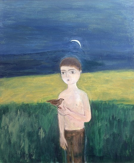 Boy with Bird, 2002 (acrylic on canvas)  od Roya  Salari