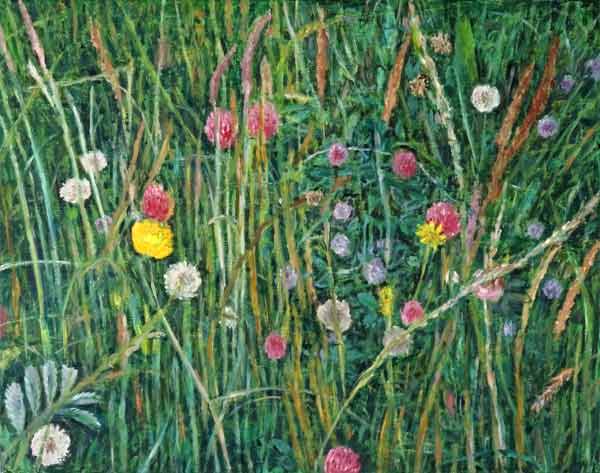 Plants of the Machair, 2008 (oil on canvas)  od Ruth  Addinall