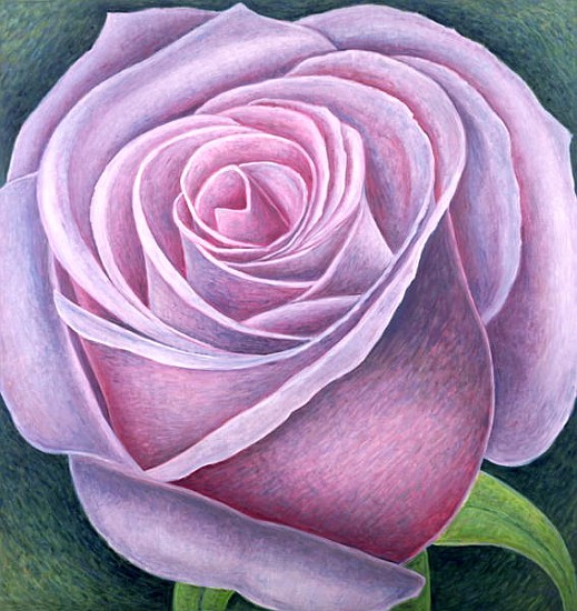 Big Rose, 2003 (oil on canvas)  od Ruth  Addinall