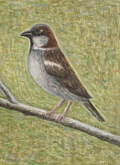 House Sparrow, 2008 (oil on wood)  od Ruth  Addinall