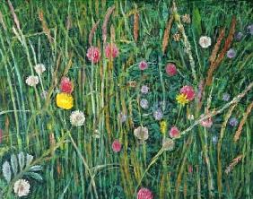 Plants of the Machair, 2008 (oil on canvas) 