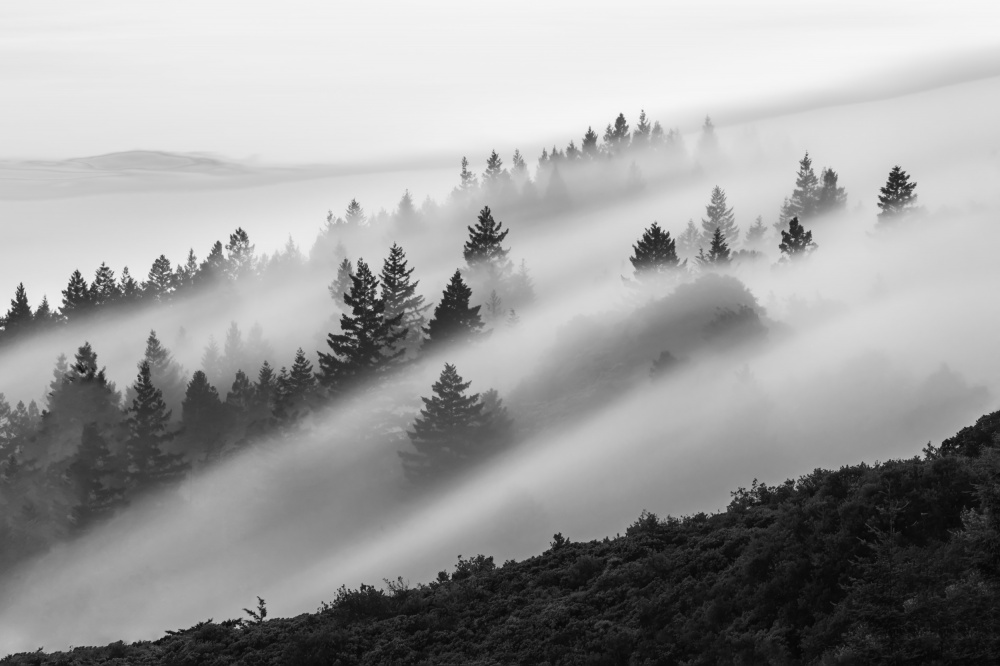 Flowing Fog od Ryan Li