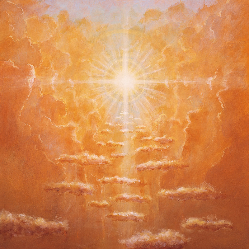 Radiance (acrylic on canvas)  od S. Cook