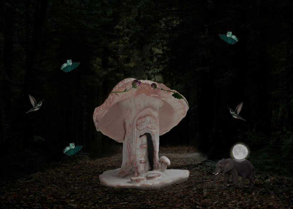 Mushroom od Salome Zhividze