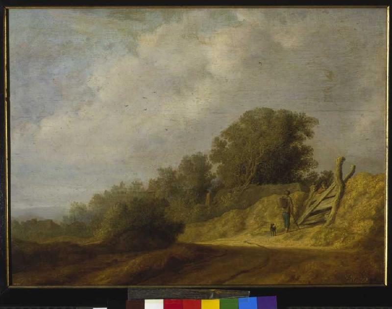 Landscape with way od Salomon van Ruysdael
