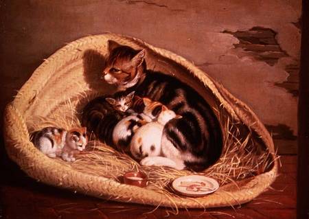 Cat with Her Kittens in a Basket od Samuel de Wilde