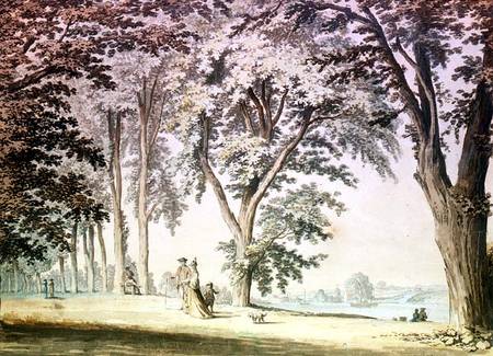 Trees by the Thames opposite Hammersmith od Samuel Hieronymous Grimm