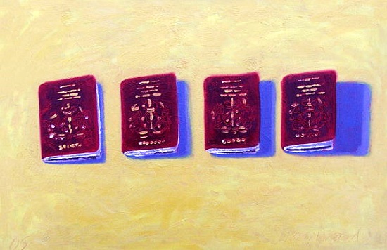 Four Passports od Sara  Hayward