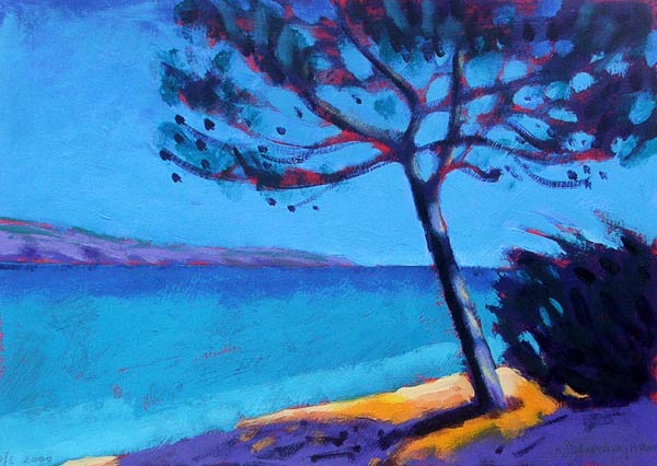 Pine Trees od Sara  Hayward